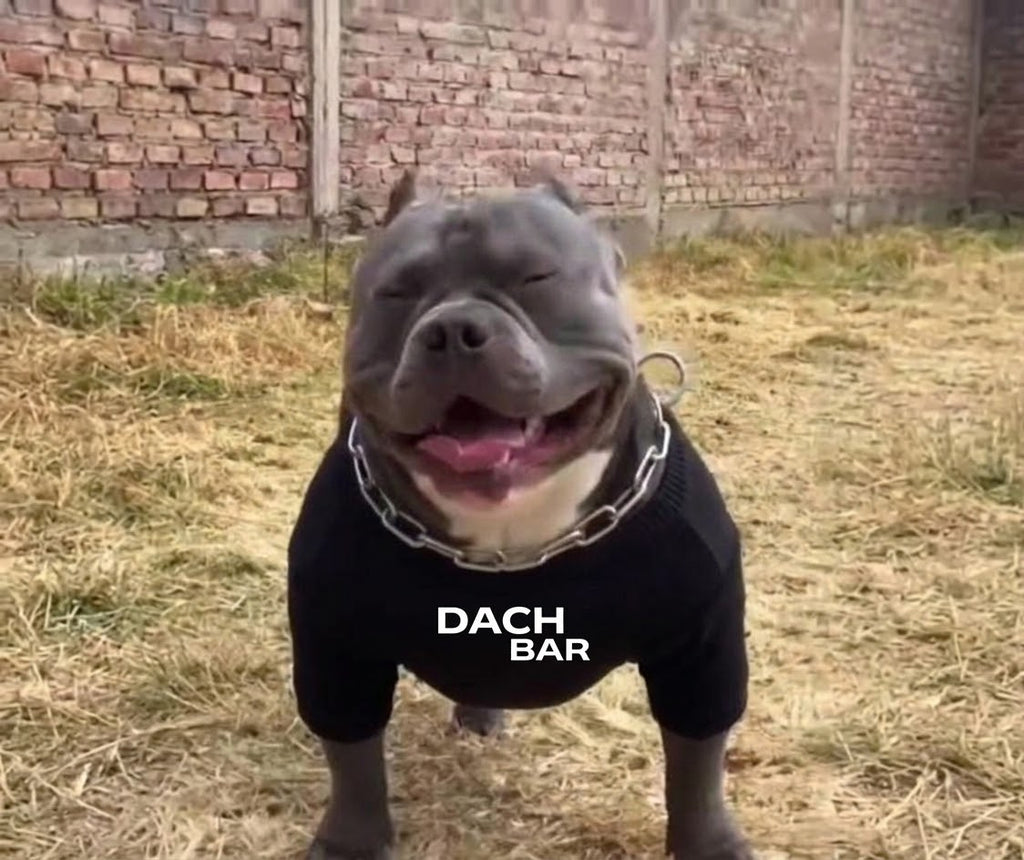 SWEATER DACH. BAR